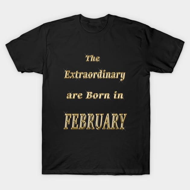 Extraordinary people were born in February T-Shirt by Dandoun